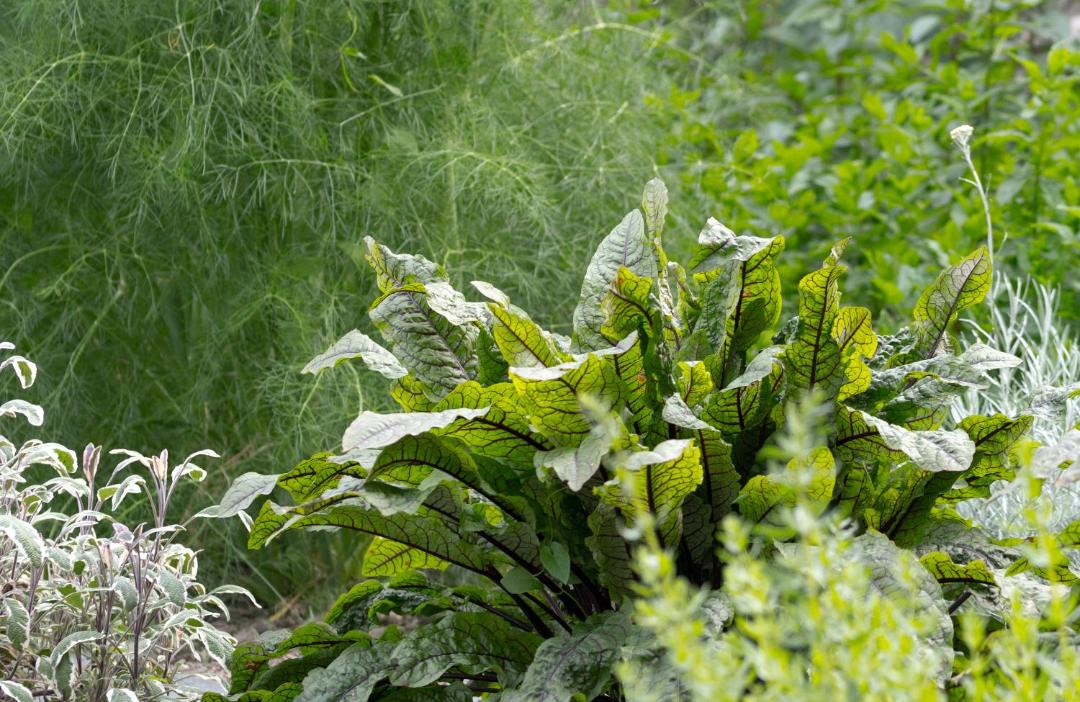 Photo of Outdoor in Pouzac