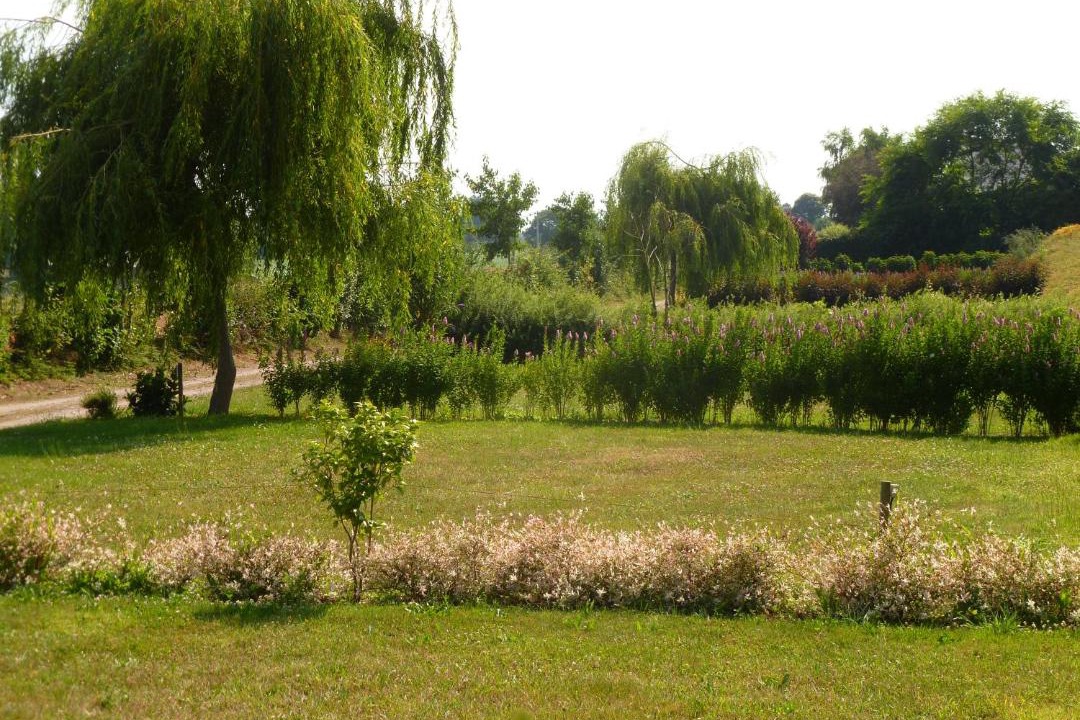 Photo of Others in Pleboulle