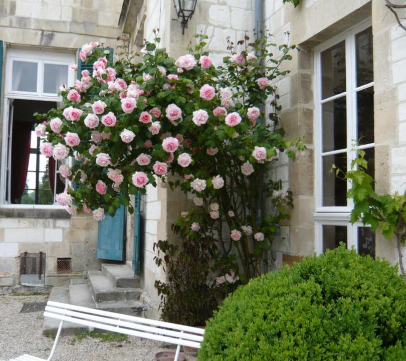Photo of Others in Juvigny