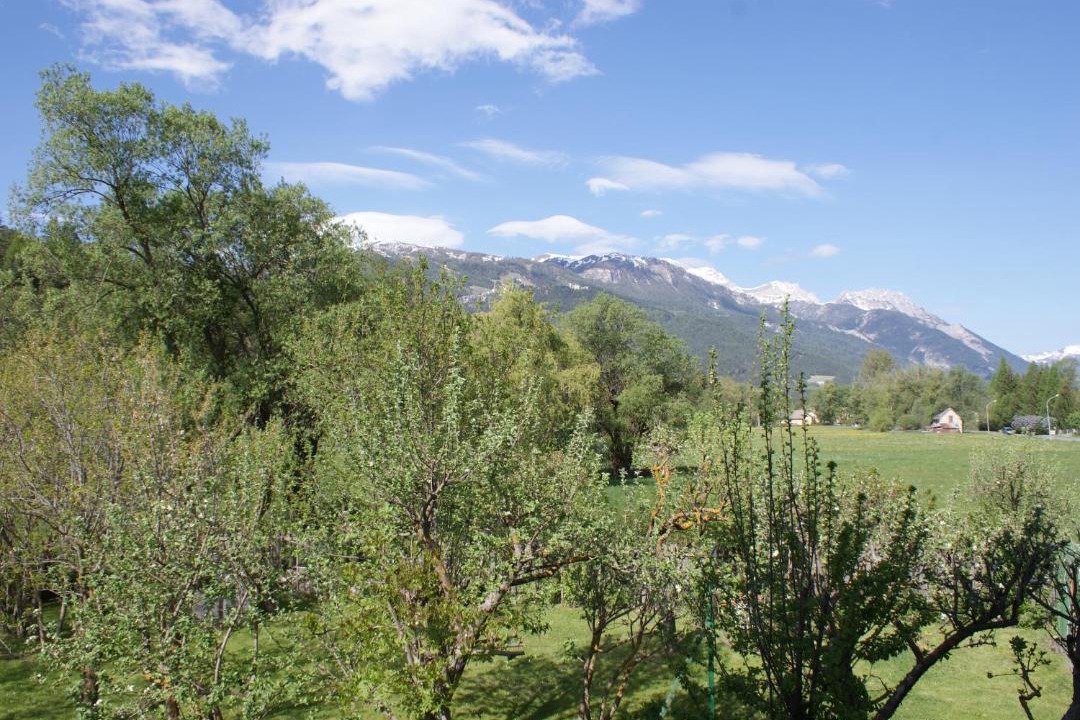 Photo of Others in Barcelonnette