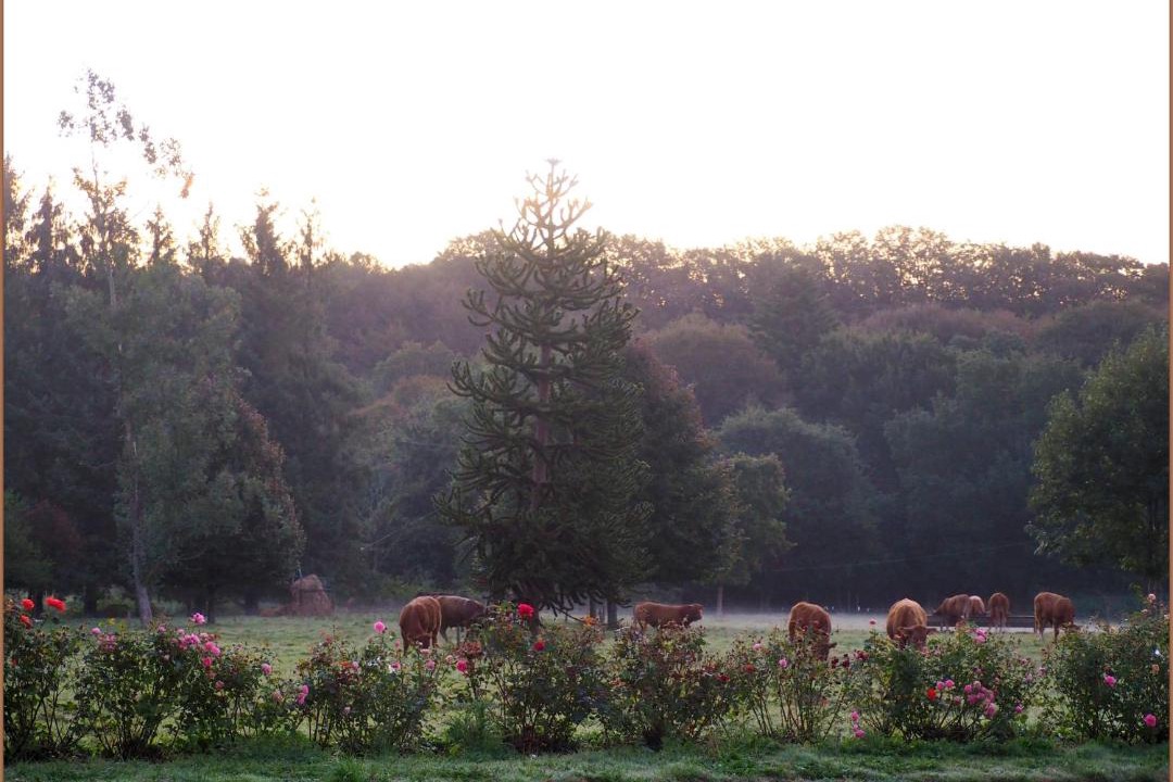 Photo of Others in Botsorhel