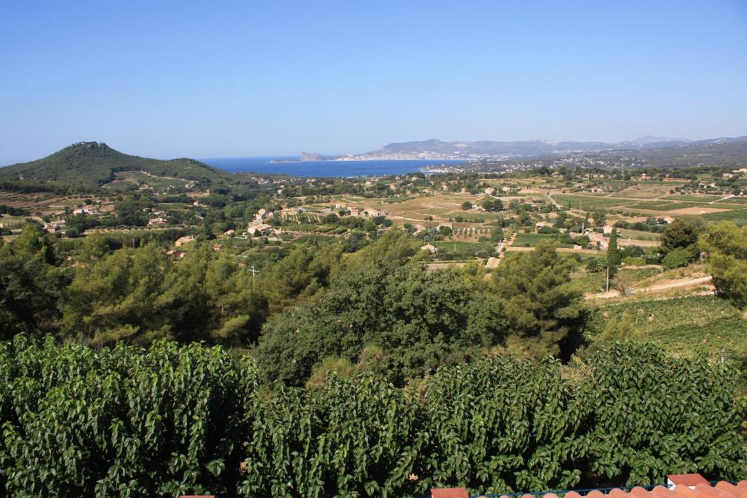Photo of Others in La Cadiere-d'Azur