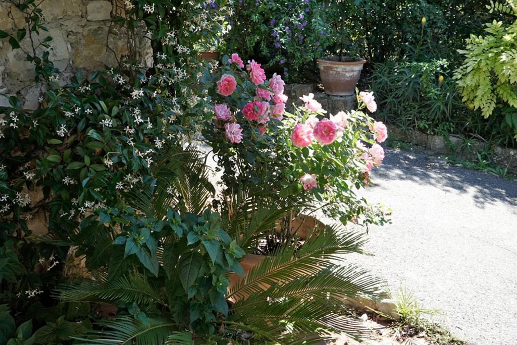 Photo of Others in Le Plan-de-Grasse