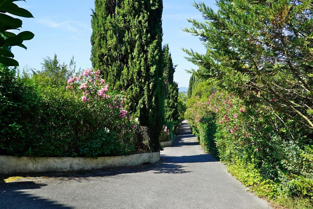 Photo of Others in Le Plan-de-Grasse