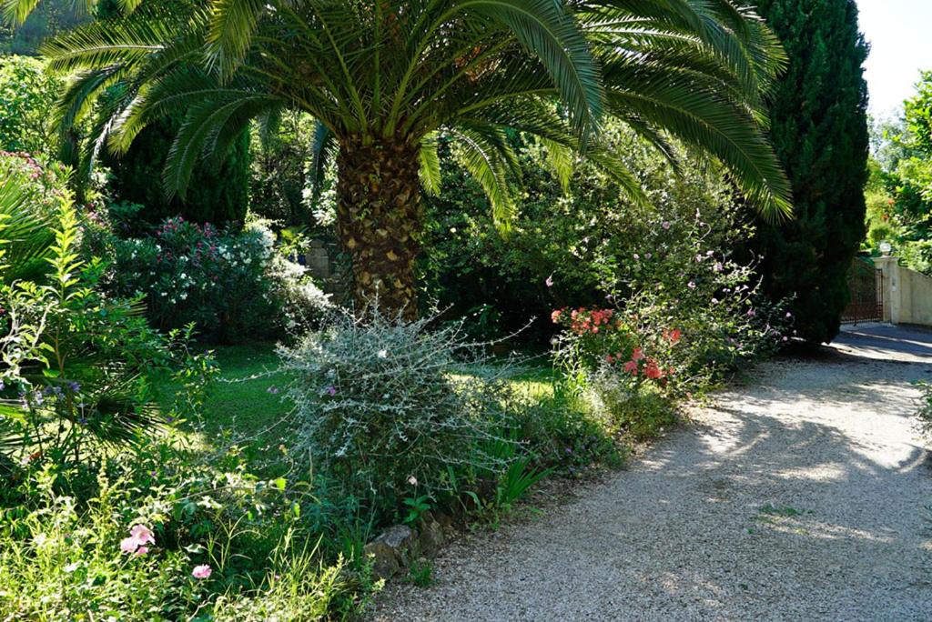 Photo of Others in Le Plan-de-Grasse