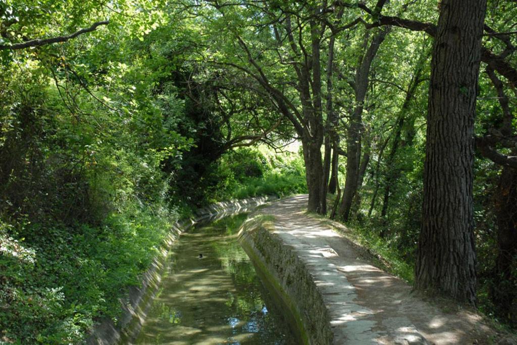 Photo of Others in Le Plan-de-Grasse