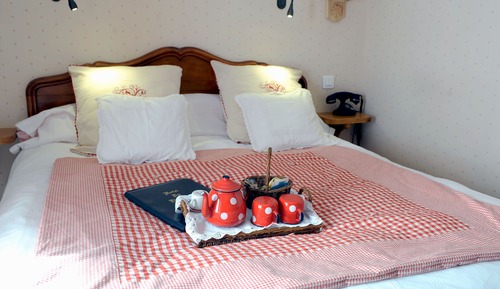 Standard Double Room (Shower)