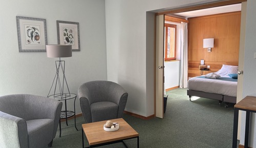 Suite, 1 King Bed, Non Smoking (Separate Lounge)