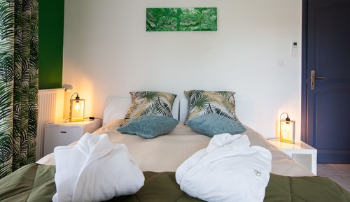 Design Double Room, 1 Queen Bed