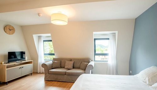 Standard Studio, 1 Queen Bed, Non Smoking