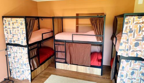 Bed in 6-Bed Dormitory Room
