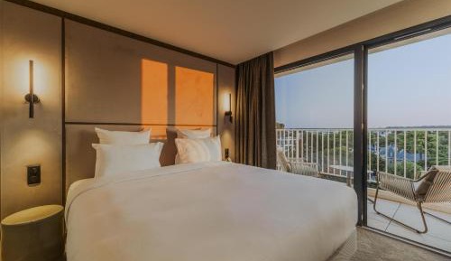 Superior Double Room with Terrace and Pinewood View