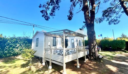 Mobile Home