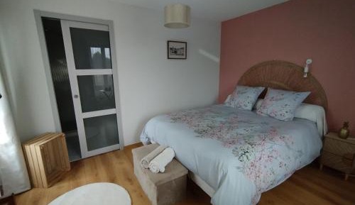 King Room with Garden View