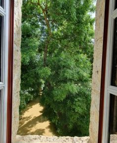 King Room with Garden View