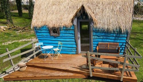 Cabin kyara