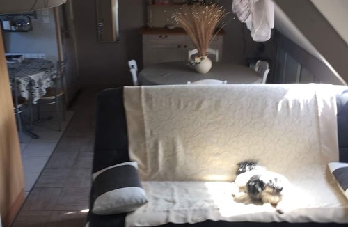 Lanvallay Apartment | Joli gîte en bretagne , au pied de Dinan France