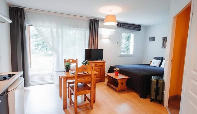 Swimming pool, terrace, parking, tv, ski locker, 31m², Ax-Les-Thermes